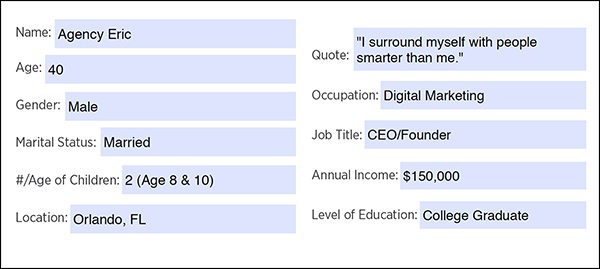 Customer Avatar Worksheet: Demographic Information